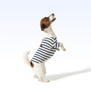 EYC_PARISIAN PUP SHIRT
